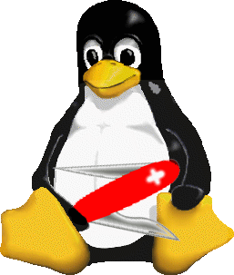 Functionally-Overloaded Linux Kernel